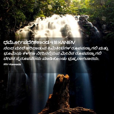Picture 02 - ಧರ್ಮೋಪದೇಶಕಾಂಡ 4:18 KANIRV - ನೆಲದ ಮೇಲೆ - Bible Verse Picture
