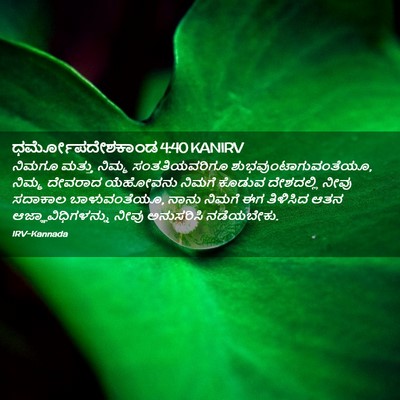 Picture 02 - ಧರ್ಮೋಪದೇಶಕಾಂಡ 4:40 KANIRV - ನಿಮಗೂ ಮತ್ತು ನಿಮ್ಮ - Bible Verse Picture