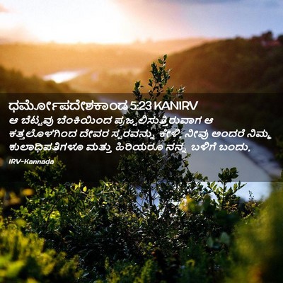 Picture 02 - ಧರ್ಮೋಪದೇಶಕಾಂಡ 5:23 KANIRV - ಆ ಬೆಟ್ಟವು - Bible Verse Picture
