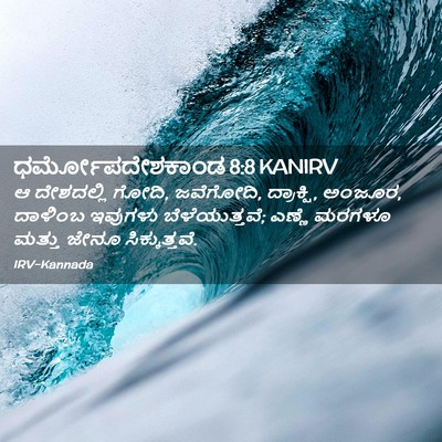Picture 02 - ಧರ್ಮೋಪದೇಶಕಾಂಡ 8:8 KANIRV - ಆ ದೇಶದಲ್ಲಿ ಗೋದಿ, - Bible Verse Picture