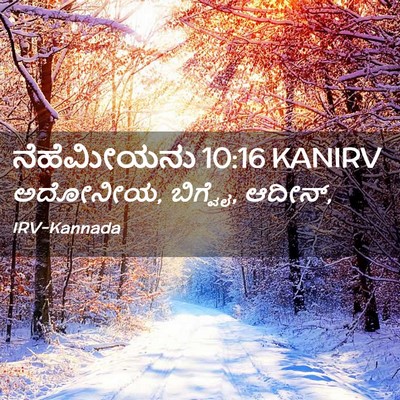 Picture 02 - ನೆಹೆಮೀಯನು 10:16 KANIRV - ಅದೋನೀಯ, ಬಿಗ್ವೈ, - Bible Verse Picture