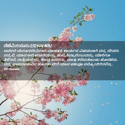 Picture 02 - ನೆಹೆಮೀಯನು 2:12 KANIRV - ಆಮೇಲೆ - Bible Verse Picture
