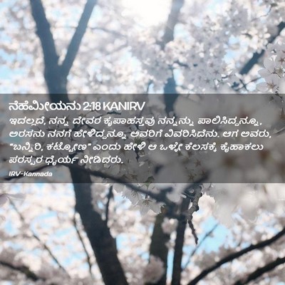 Picture 02 - ನೆಹೆಮೀಯನು 2:18 KANIRV - ಇದಲ್ಲದೆ, ನನ್ನ ದೇವರ - Bible Verse Picture