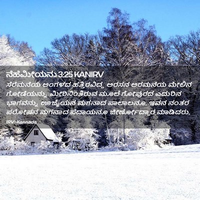 Picture 02 - ನೆಹೆಮೀಯನು 3:25 KANIRV - ಸೆರೆಮನೆಯ ಅಂಗಳದ - Bible Verse Picture