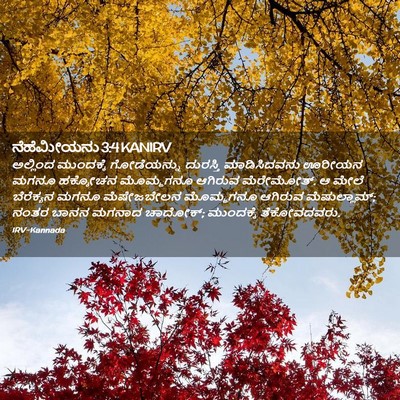Picture 02 - ನೆಹೆಮೀಯನು 3:4 KANIRV - ಅಲ್ಲಿಂದ ಮುಂದಕ್ಕೆ - Bible Verse Picture