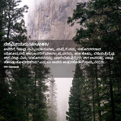 Picture 02 - ನೆಹೆಮೀಯನು 5:8 KANIRV - ಅವರಿಗೆ, “ನಾವು - Bible Verse Picture