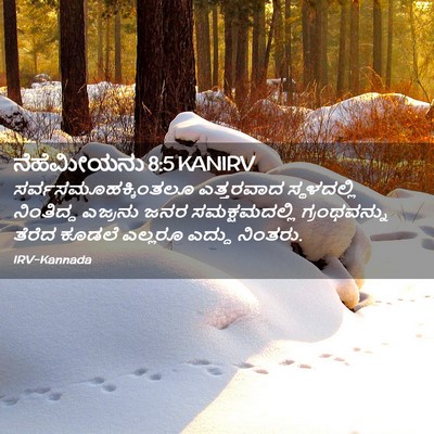 Picture 02 - ನೆಹೆಮೀಯನು 8:5 KANIRV - ಸರ್ವಸಮೂಹಕ್ಕಿಂತಲೂ - Bible Verse Picture