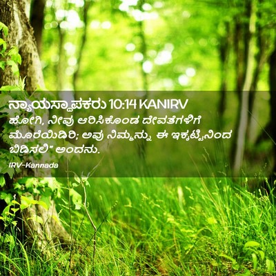 Picture 02 - ನ್ಯಾಯಸ್ಥಾಪಕರು 10:14 KANIRV - ಹೋಗಿ, ನೀವು - Bible Verse Picture