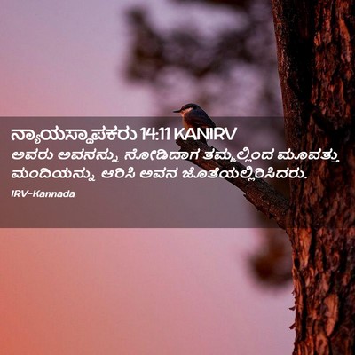 Picture 02 - ನ್ಯಾಯಸ್ಥಾಪಕರು 14:11 KANIRV - ಅವರು ಅವನನ್ನು - Bible Verse Picture