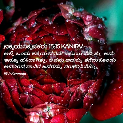 Picture 02 - ನ್ಯಾಯಸ್ಥಾಪಕರು 15:15 KANIRV - ಅಲ್ಲಿ ಒಂದು ಕತ್ತೆಯ - Bible Verse Picture