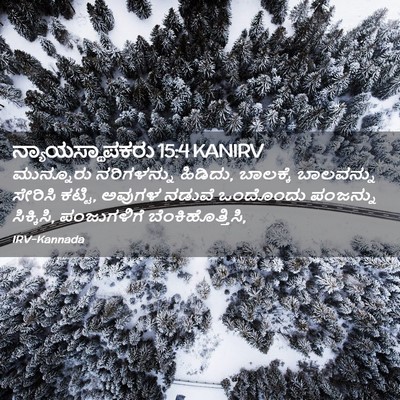 Picture 02 - ನ್ಯಾಯಸ್ಥಾಪಕರು 15:4 KANIRV - ಮುನ್ನೂರು - Bible Verse Picture