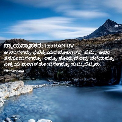Picture 02 - ನ್ಯಾಯಸ್ಥಾಪಕರು 15:5 KANIRV - ಆ ನರಿಗಳನ್ನು - Bible Verse Picture
