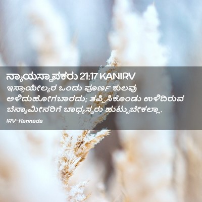 Picture 02 - ನ್ಯಾಯಸ್ಥಾಪಕರು 21:17 KANIRV - ಇಸ್ರಾಯೇಲ್ಯರ ಒಂದು - Bible Verse Picture