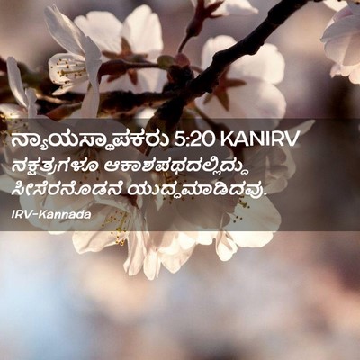 Picture 02 - ನ್ಯಾಯಸ್ಥಾಪಕರು 5:20 KANIRV - ನಕ್ಷತ್ರಗಳೂ - Bible Verse Picture