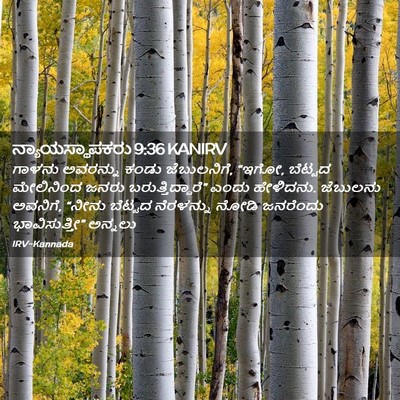 Picture 02 - ನ್ಯಾಯಸ್ಥಾಪಕರು 9:36 KANIRV - ಗಾಳನು ಅವರನ್ನು - Bible Verse Picture