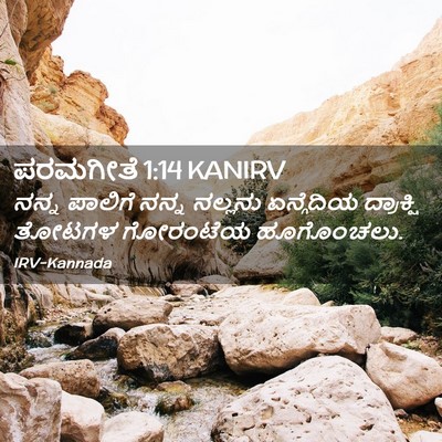 Picture 02 - ಪರಮಗೀತೆ 1:14 KANIRV - ನನ್ನ ಪಾಲಿಗೆ ನನ್ನ - Bible Verse Picture