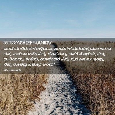 Picture 02 - ಪರಮಗೀತೆ 2:14 KANIRV - ಬಂಡೆಯ - Bible Verse Picture