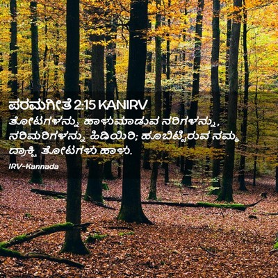 Picture 02 - ಪರಮಗೀತೆ 2:15 KANIRV - ತೋಟಗಳನ್ನು - Bible Verse Picture