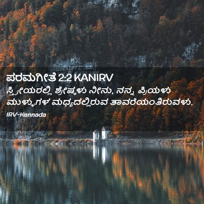 Picture 02 - ಪರಮಗೀತೆ 2:2 KANIRV - ಸ್ತ್ರೀಯರಲ್ಲಿ - Bible Verse Picture