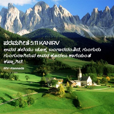 Picture 02 - ಪರಮಗೀತೆ 5:11 KANIRV - ಅವನ ತಲೆಯು ಚೊಕ್ಕ - Bible Verse Picture