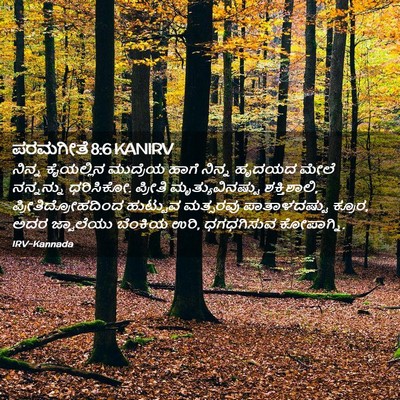 Picture 02 - ಪರಮಗೀತೆ 8:6 KANIRV - ನಿನ್ನ ಕೈಯಲ್ಲಿನ - Bible Verse Picture