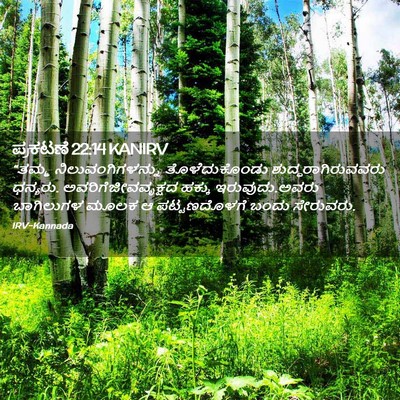 Picture 02 - ಪ್ರಕಟಣೆ 22:14 KANIRV - “ತಮ್ಮ - Bible Verse Picture