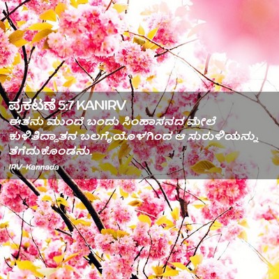 Picture 02 - ಪ್ರಕಟಣೆ 5:7 KANIRV - ಈತನು ಮುಂದೆ ಬಂದು - Bible Verse Picture