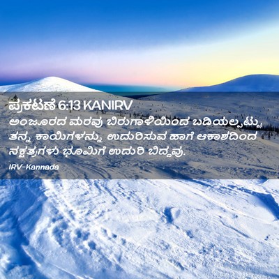 Picture 02 - ಪ್ರಕಟಣೆ 6:13 KANIRV - ಅಂಜೂರದ ಮರವು - Bible Verse Picture
