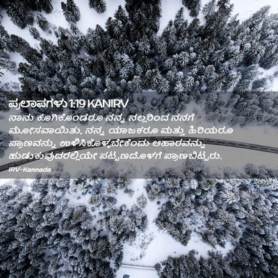 Picture 02 - ಪ್ರಲಾಪಗಳು 1:19 KANIRV - ನಾನು ಕೂಗಿಕೊಂಡರೂ - Bible Verse Picture
