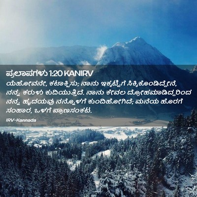 Picture 02 - ಪ್ರಲಾಪಗಳು 1:20 KANIRV - ಯೆಹೋವನೇ, - Bible Verse Picture