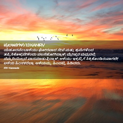 Picture 02 - ಪ್ರಲಾಪಗಳು 1:3 KANIRV - ಯೆಹೂದವೆಂಬಾಕೆಯು - Bible Verse Picture