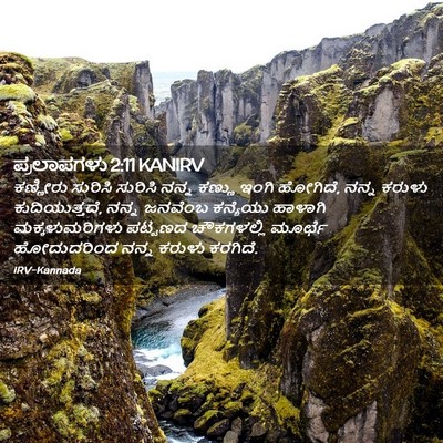 Picture 02 - ಪ್ರಲಾಪಗಳು 2:11 KANIRV - ಕಣ್ಣೀರು ಸುರಿಸಿ - Bible Verse Picture