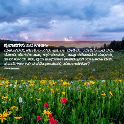 Picture 02 - ಪ್ರಲಾಪಗಳು 2:20 KANIRV - ಯೆಹೋವನೇ, - Bible Verse Picture