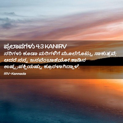 Picture 02 - ಪ್ರಲಾಪಗಳು 4:3 KANIRV - ನರಿಗಳು ಕೂಡಾ - Bible Verse Picture