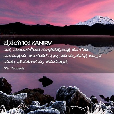 Picture 02 - ಪ್ರಸಂಗಿ 10:1 KANIRV - ಸತ್ತ ನೊಣಗಳಿಂದ - Bible Verse Picture