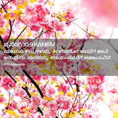Picture 02 - ಪ್ರಸಂಗಿ 10:9 KANIRV - ಯಾವನು ಕಲ್ಲುಗಳನ್ನು - Bible Verse Picture