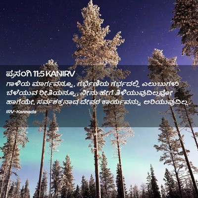 Picture 02 - ಪ್ರಸಂಗಿ 11:5 KANIRV - ಗಾಳಿಯ ಮಾರ್ಗವನ್ನೂ, - Bible Verse Picture