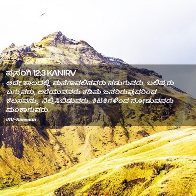 Picture 02 - ಪ್ರಸಂಗಿ 12:3 KANIRV - ಅದೇ ಕಾಲದಲ್ಲಿ - Bible Verse Picture