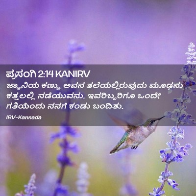 Picture 02 - ಪ್ರಸಂಗಿ 2:14 KANIRV - ಜ್ಞಾನಿಯ ಕಣ್ಣು ಅವನ - Bible Verse Picture