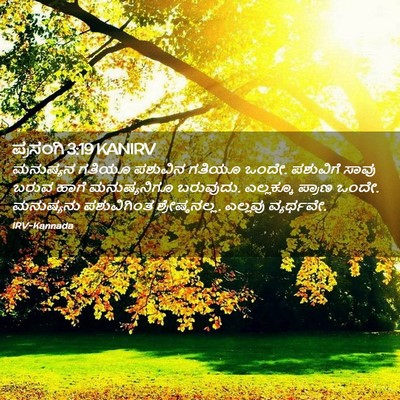 Picture 02 - ಪ್ರಸಂಗಿ 3:19 KANIRV - ಮನುಷ್ಯನ ಗತಿಯೂ - Bible Verse Picture