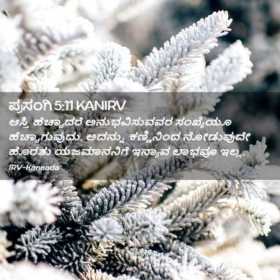 Picture 02 - ಪ್ರಸಂಗಿ 5:11 KANIRV - ಆಸ್ತಿ ಹೆಚ್ಚಾದರೆ - Bible Verse Picture