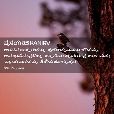 Picture 02 - ಪ್ರಸಂಗಿ 8:5 KANIRV - ಅರಸನ ಆಜ್ಞೆಗಳನ್ನು - Bible Verse Picture