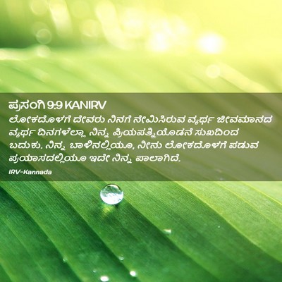 Picture 02 - ಪ್ರಸಂಗಿ 9:9 KANIRV - ಲೋಕದೊಳಗೆ ದೇವರು - Bible Verse Picture