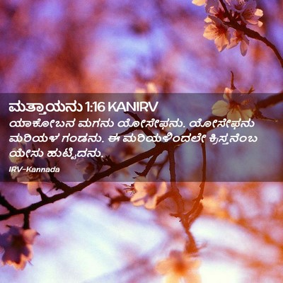 Picture 02 - ಮತ್ತಾಯನು 1:16 KANIRV - ಯಾಕೋಬನ ಮಗನು - Bible Verse Picture