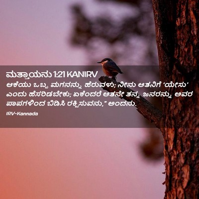 Picture 02 - ಮತ್ತಾಯನು 1:21 KANIRV - ಆಕೆಯು ಒಬ್ಬ - Bible Verse Picture