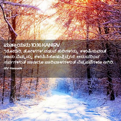 Picture 02 - ಮತ್ತಾಯನು 10:16 KANIRV - “ನೋಡಿರಿ, ತೋಳಗಳ - Bible Verse Picture