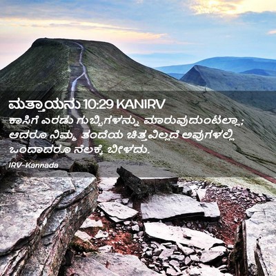 Picture 02 - ಮತ್ತಾಯನು 10:29 KANIRV - ಕಾಸಿಗೆ ಎರಡು - Bible Verse Picture