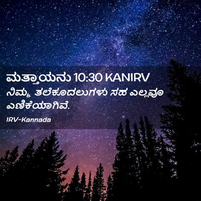 Picture 02 - ಮತ್ತಾಯನು 10:30 KANIRV - ನಿಮ್ಮ ತಲೆಕೂದಲುಗಳು - Bible Verse Picture
