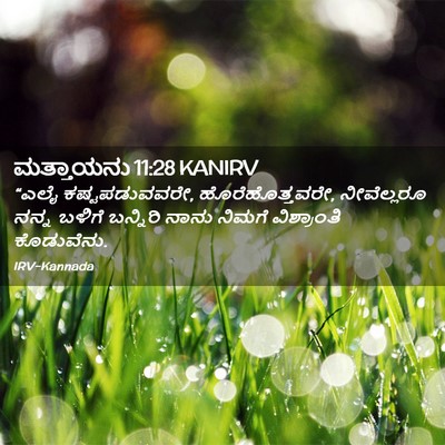 Picture 02 - ಮತ್ತಾಯನು 11:28 KANIRV - “ಎಲೈ ಕಷ್ಟಪಡುವವರೇ, - Bible Verse Picture