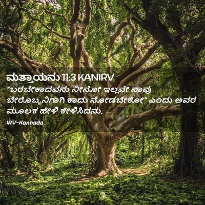 Picture 02 - ಮತ್ತಾಯನು 11:3 KANIRV - “ಬರಬೇಕಾದವನು ನೀನೋ - Bible Verse Picture